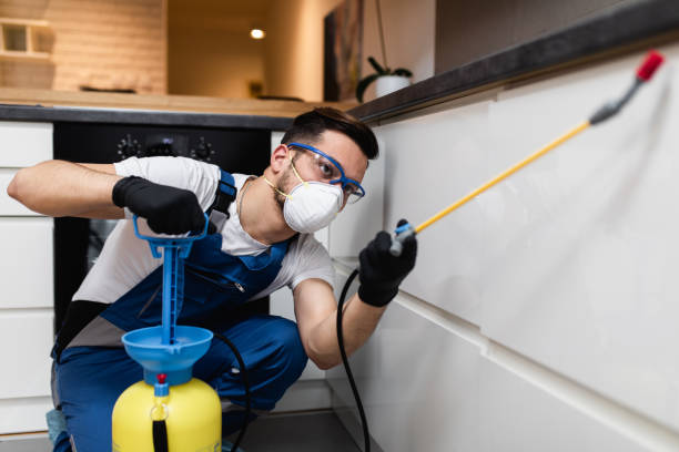 Best Emergency Pest Control  in Woodlands, CA