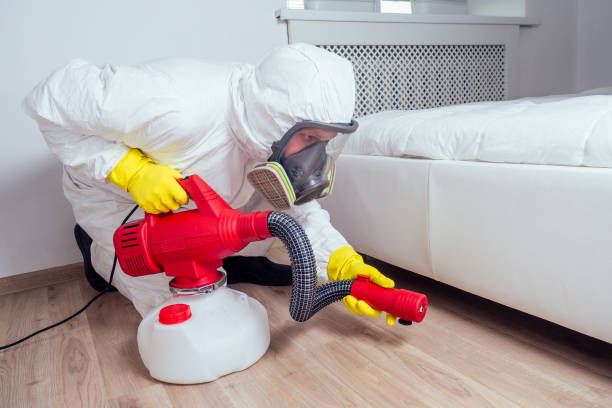 Best Pest Control Near Me in Woodlands, CA