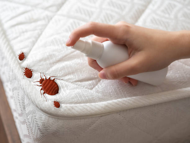 Best Cockroach Control Services  in Woodlands, CA