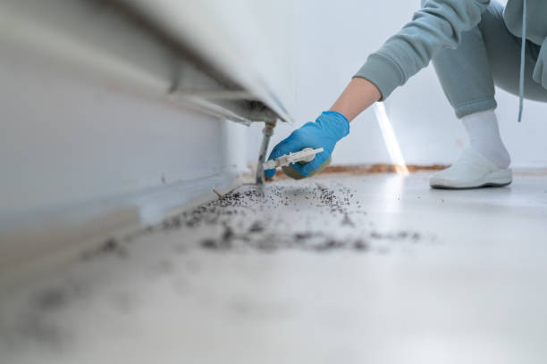 Best Best Pest Control Companies  in Woodlands, CA